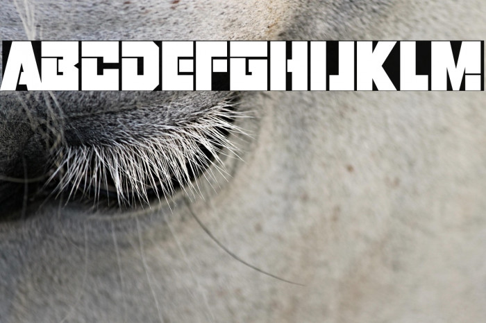 Robot Warriors Example 3