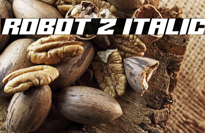 Robot Z Italic Example 2