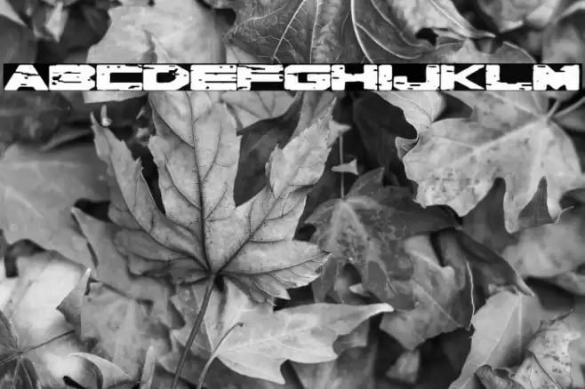 Robot de Hojalata Font examples