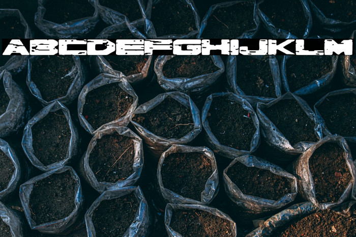 Robot de Hojalata Example 3