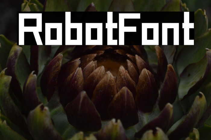 Robot_Font Example 1