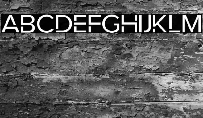 RobotaNonCommercialRegular Polices examples