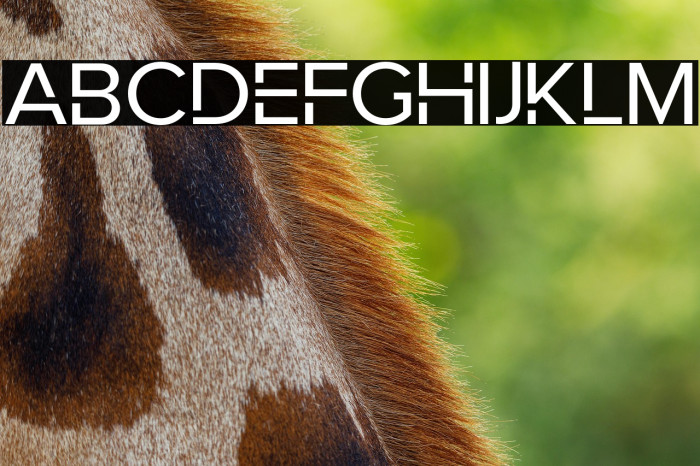 RobotaNonCommercialRegular Example 2