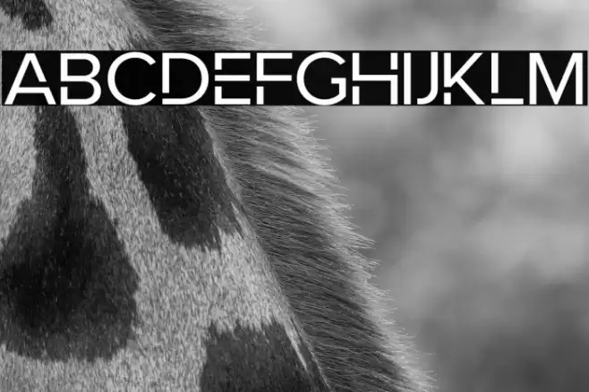 RobotaNonCommercialRegular Polices examples