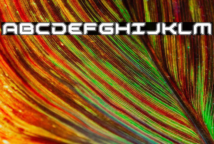 Robotaur Academy Example 1