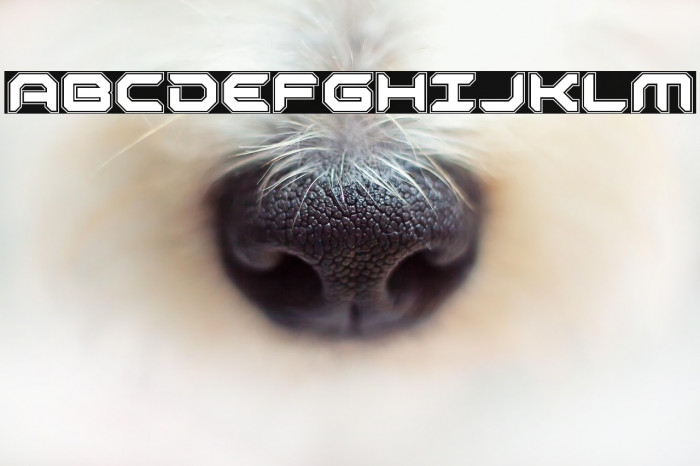 Robotaur Academy Example 3