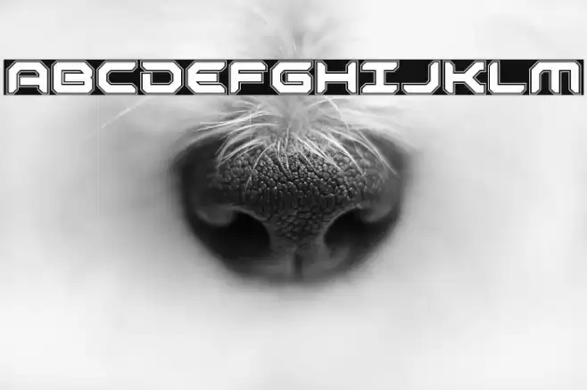 Robotaur Academy Font examples