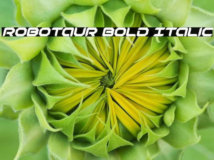 Robotaur Bold Italic Example 1