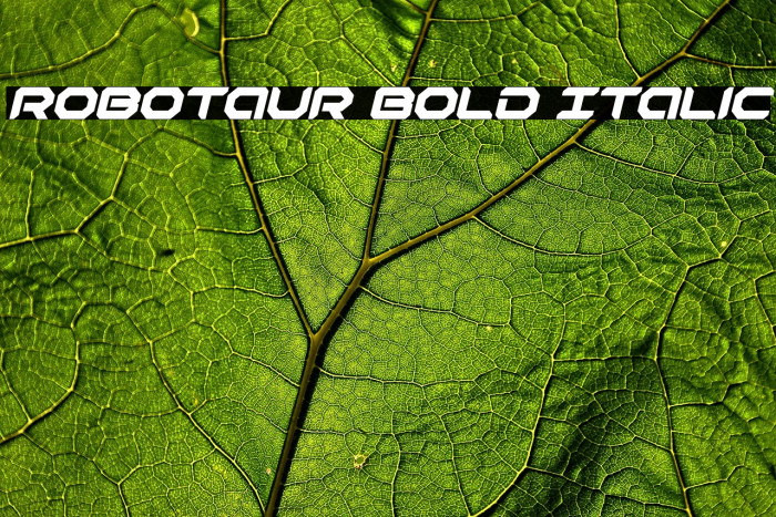 Robotaur Bold Italic Example 2