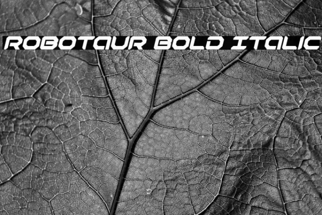 Robotaur Bold Italic Font examples