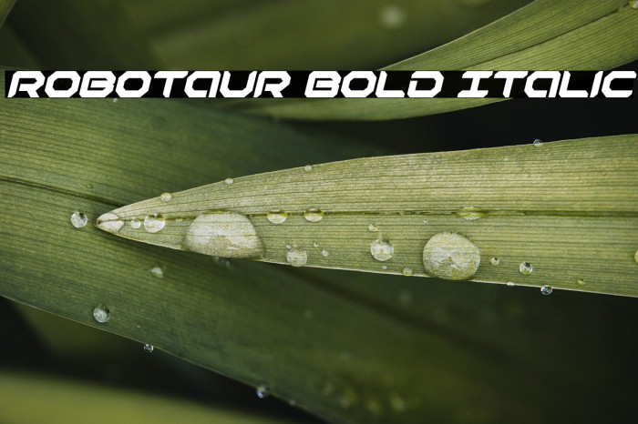 Robotaur Bold Italic Example 3