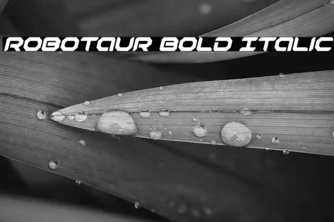 Robotaur Bold Italic Font examples