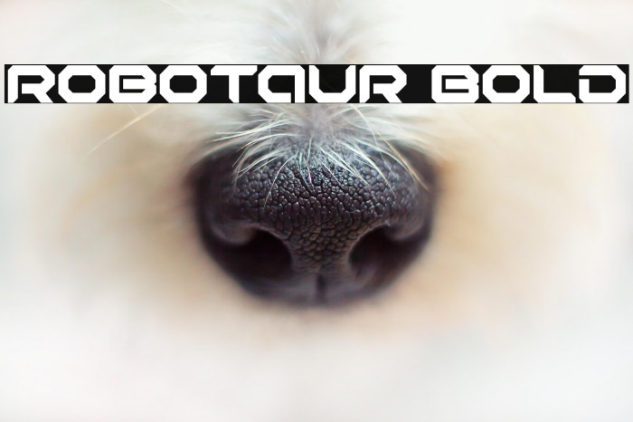 Robotaur Bold Example 2
