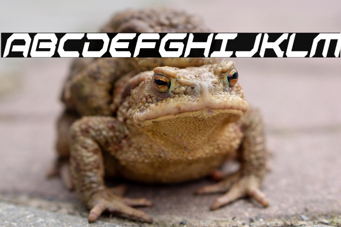 Robotaur Condensed Italic Example 1