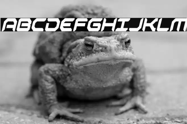 Robotaur Condensed Italic Font examples