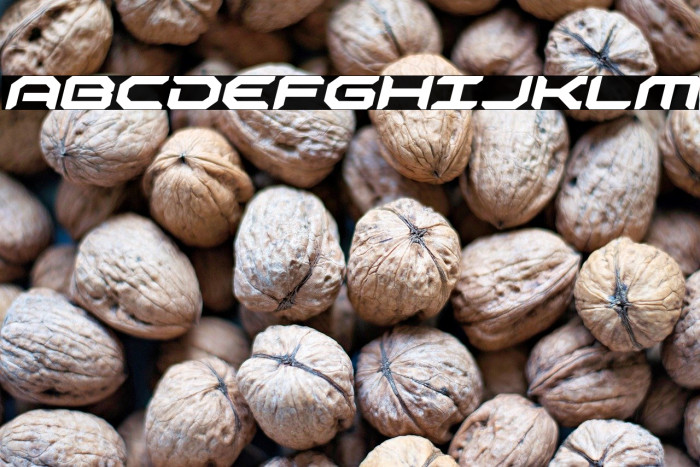 Robotaur Expanded Italic Example 1