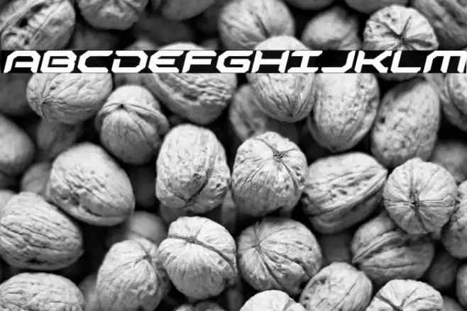 Robotaur Expanded Italic Font examples