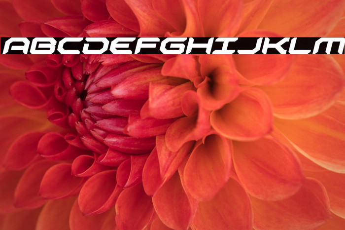 Robotaur Expanded Italic Example 2