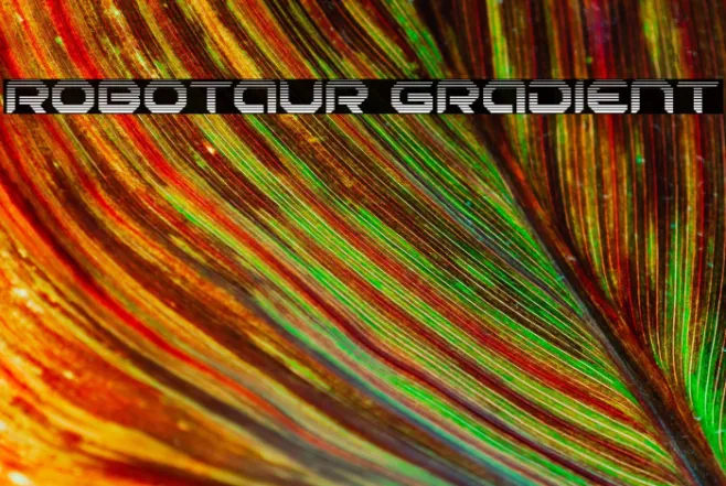 Robotaur Gradient Example 2