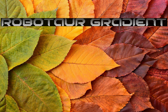 Robotaur Gradient Example 3