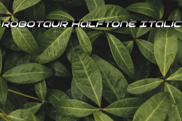Robotaur Halftone Italic Example 3