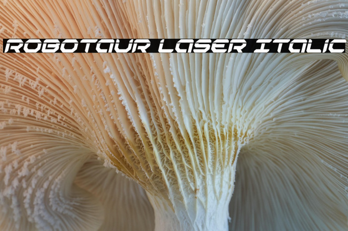Robotaur Laser Italic Example 2