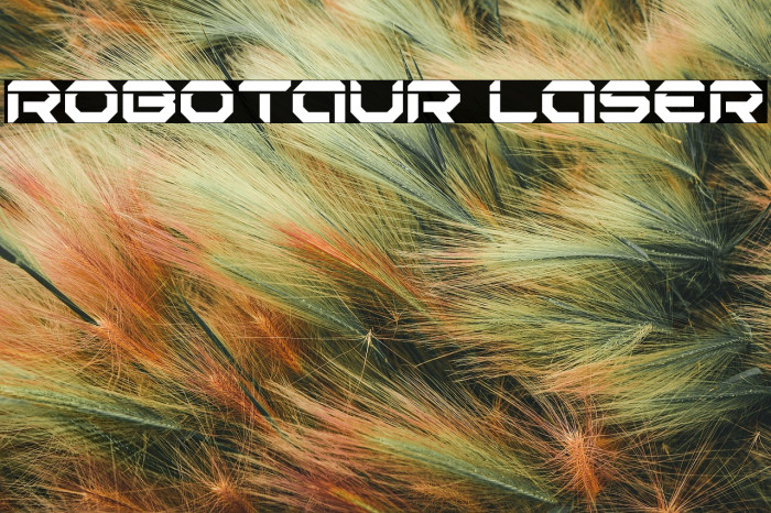 Robotaur Laser Example 3