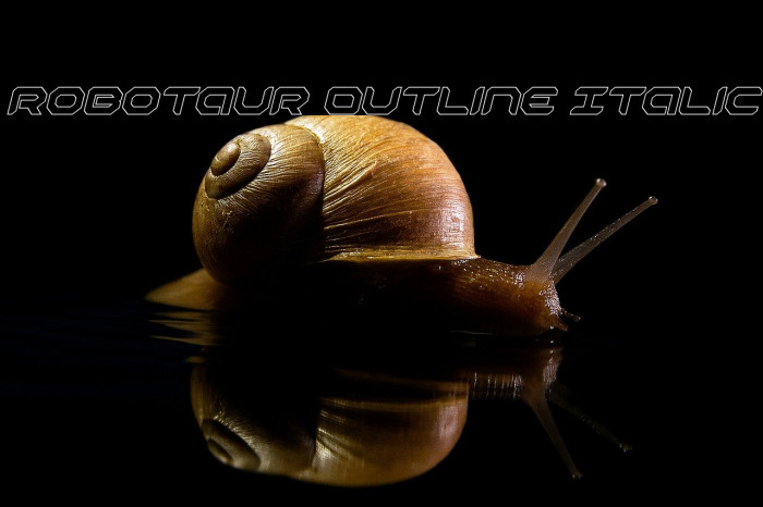 Robotaur Outline Italic Example 1