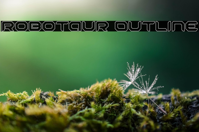 Robotaur Outline Example 3