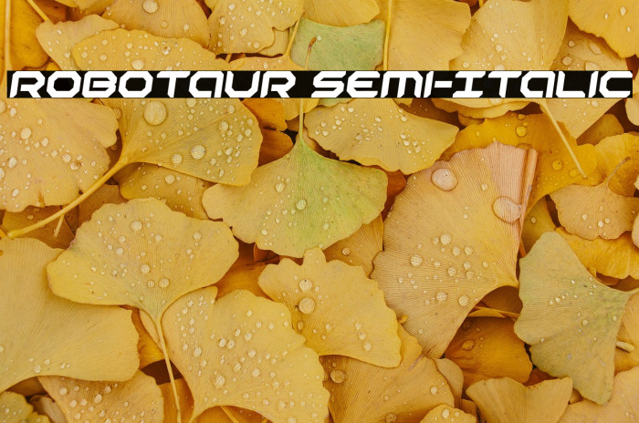 Robotaur Semi-Italic Example 2