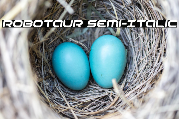 Robotaur Semi-Italic Example 3