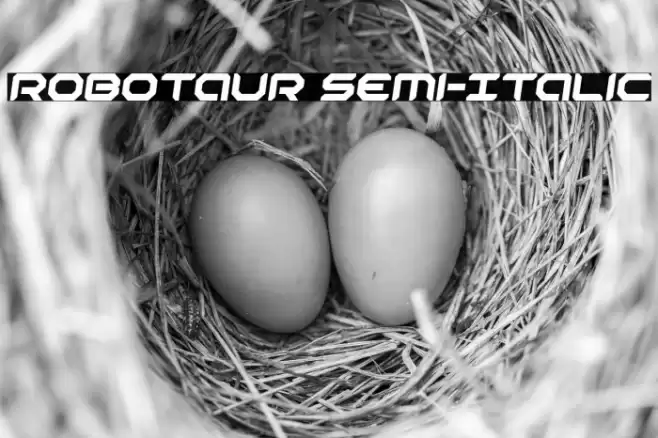 Robotaur Semi-Italic Font examples