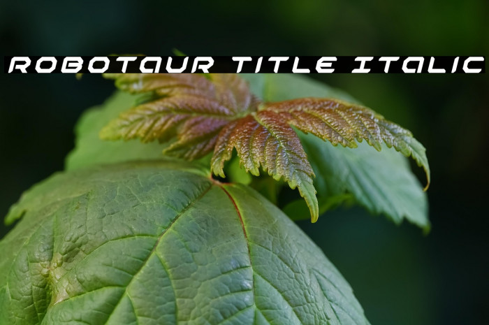 Robotaur Title Italic Example 1