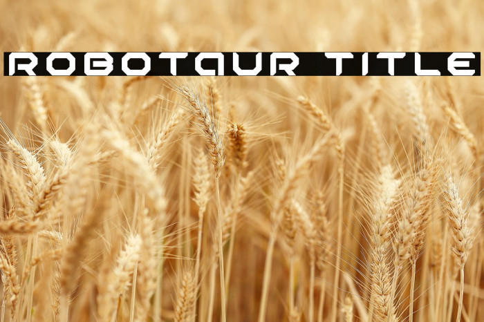 Robotaur Title Example 2