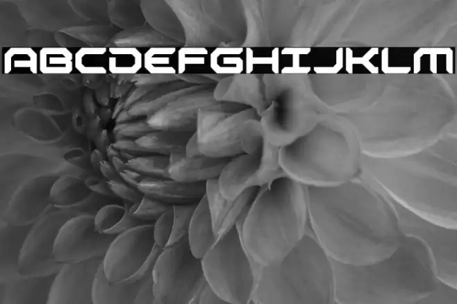 Robotaur Font examples