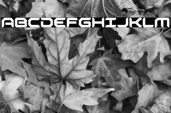 Robotaur Font examples