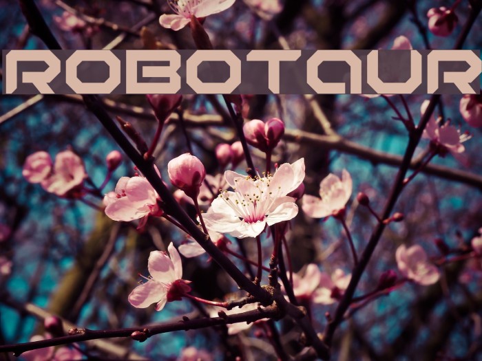 Robotaur Font examples