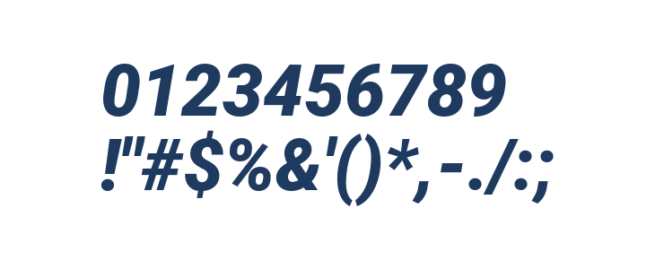Roboto Black Italic1 Other Characters