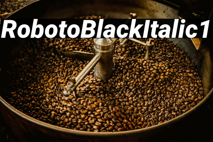 Roboto Black Italic1 Example 1