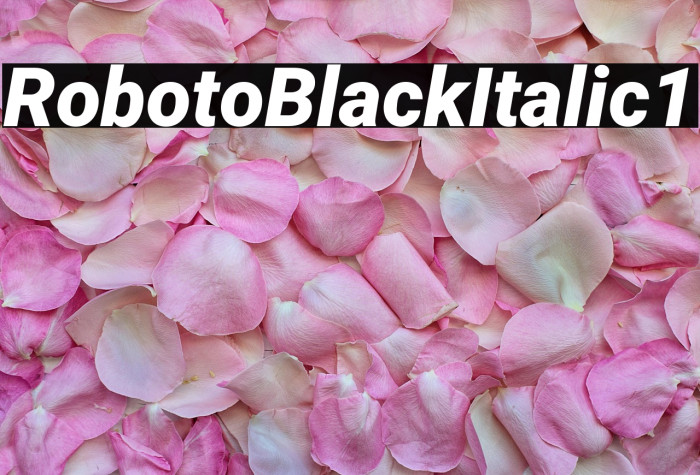 Roboto Black Italic1 Example 2