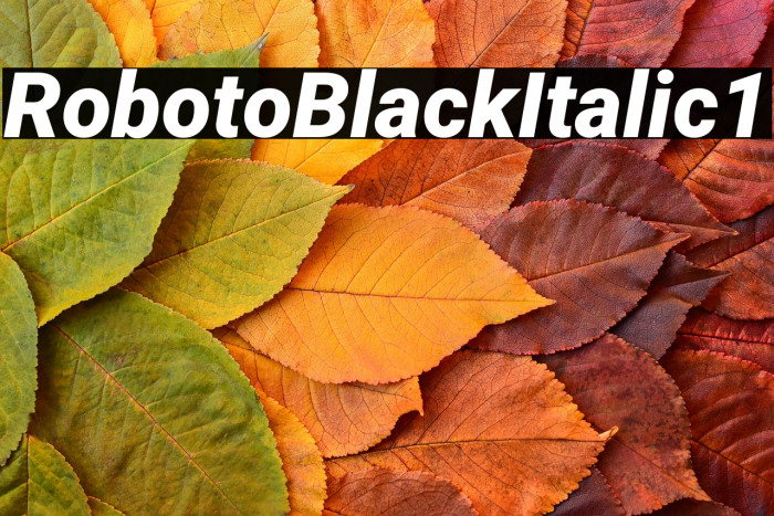 Roboto Black Italic1 Example 3