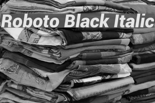 Roboto Black Italic  examples
