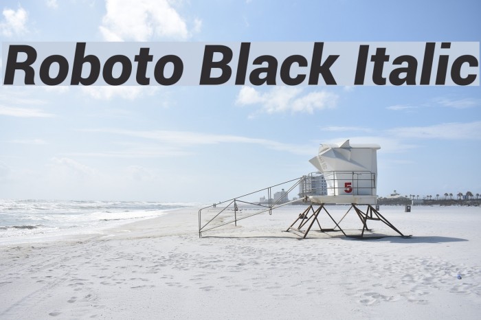 Roboto Black Italic Font examples