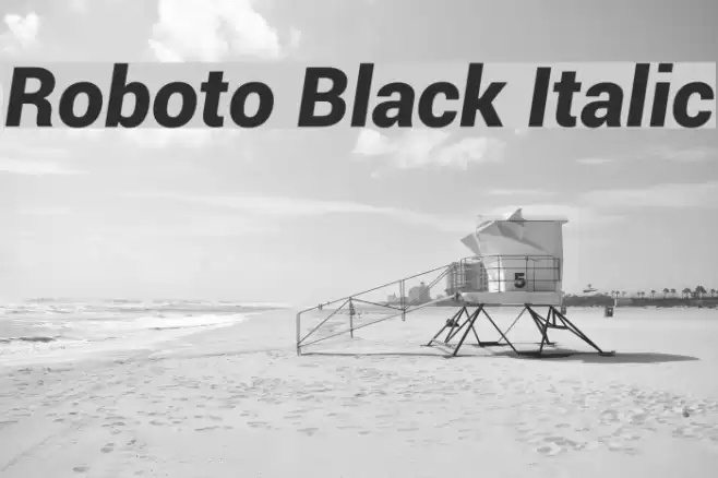 Roboto Black Italic  examples