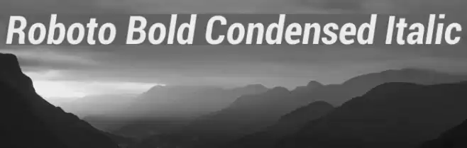Roboto Bold Condensed Italic Font examples