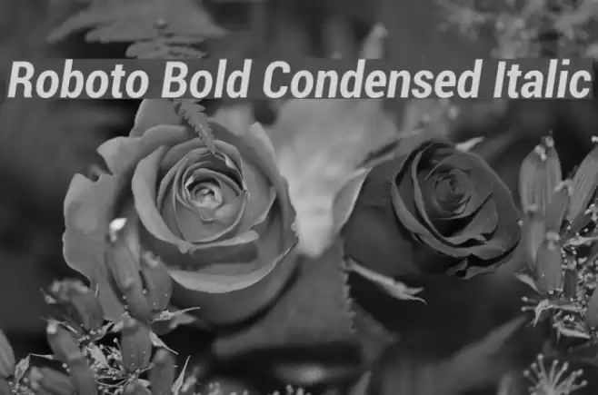 Roboto Bold Condensed Italic Font examples