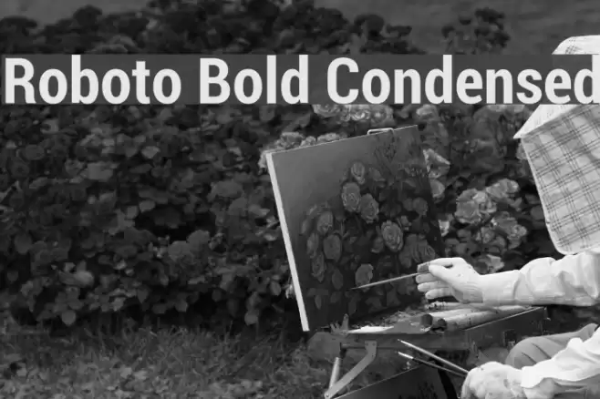 Roboto Bold Condensed Font examples