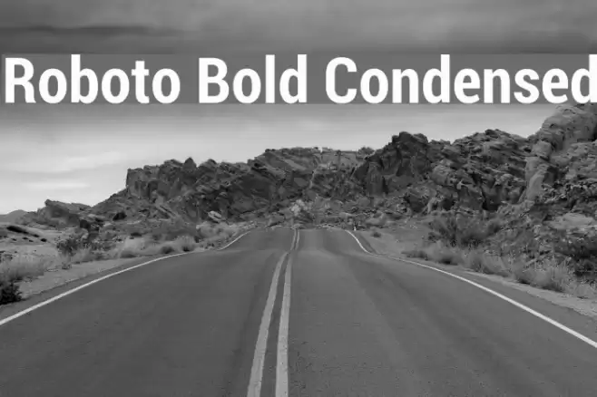 Roboto Bold Condensed Font examples
