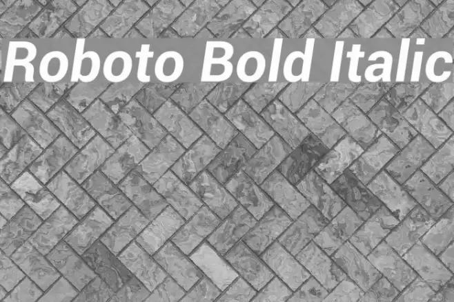 Roboto Bold Italic Font examples