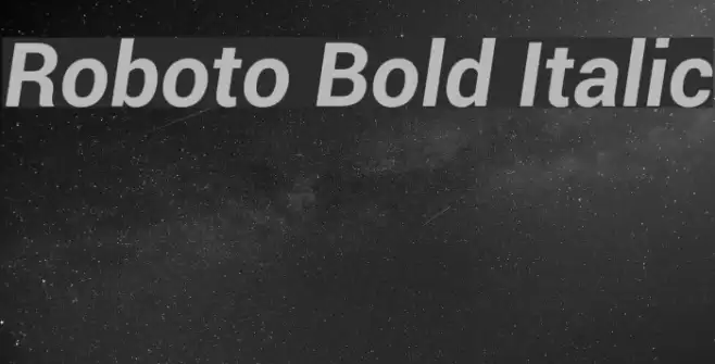 Roboto Bold Italic Font examples